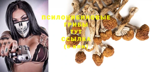 соль курить ск Козловка