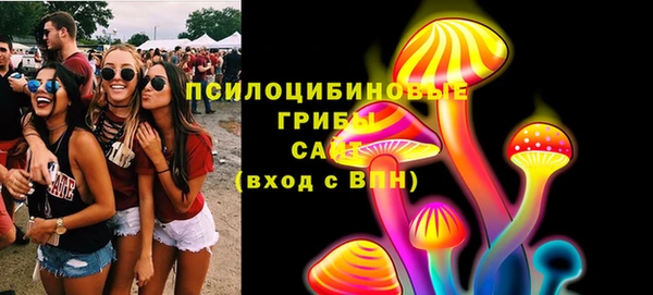 марки lsd Козельск