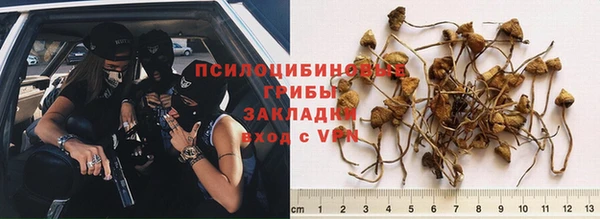 амф Кодинск