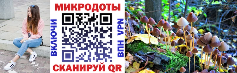 Псилоцибиновые грибы MAGIC MUSHROOMS  ссылка на мегу как войти  Красавино 